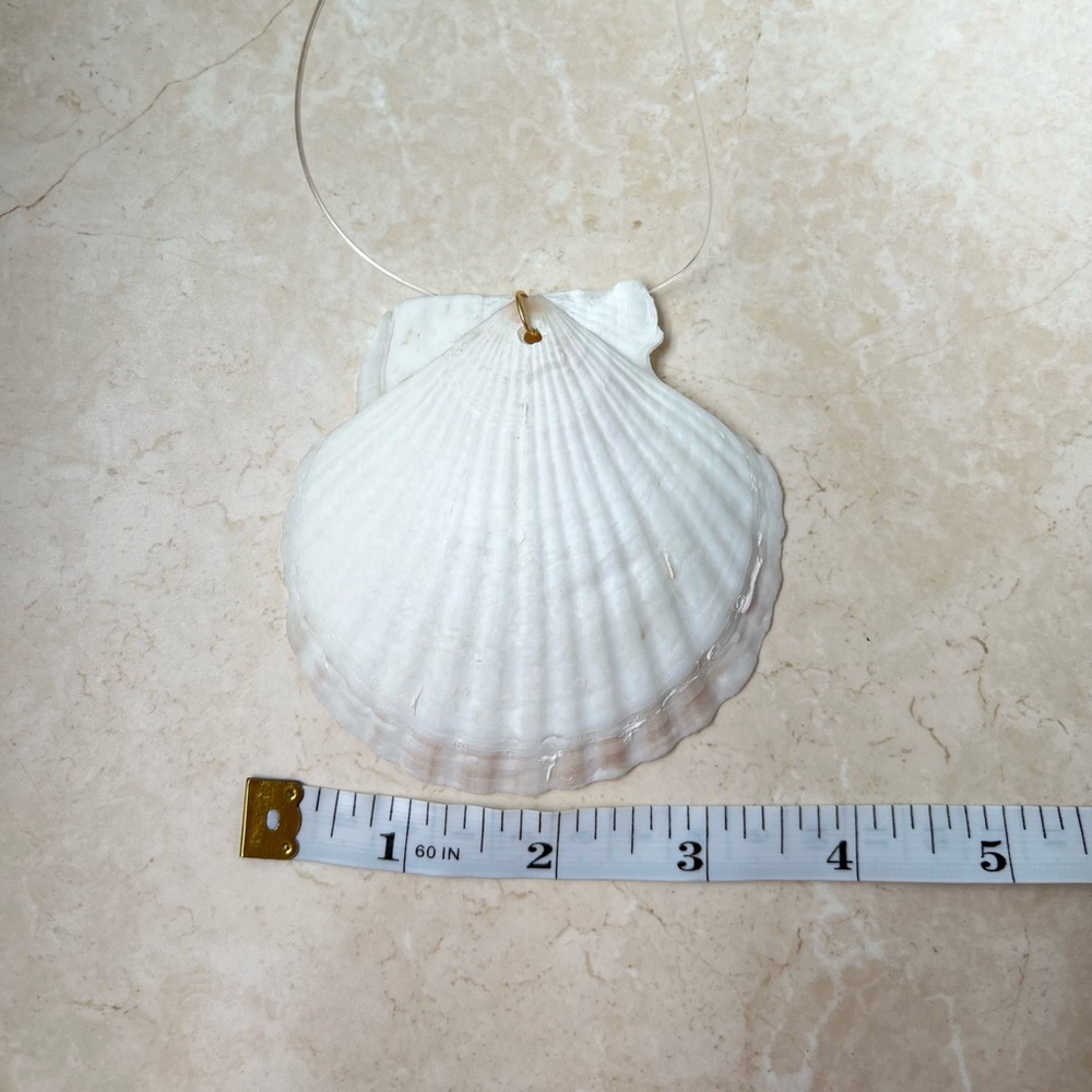 Seashell necklace - Picture 2 of 3